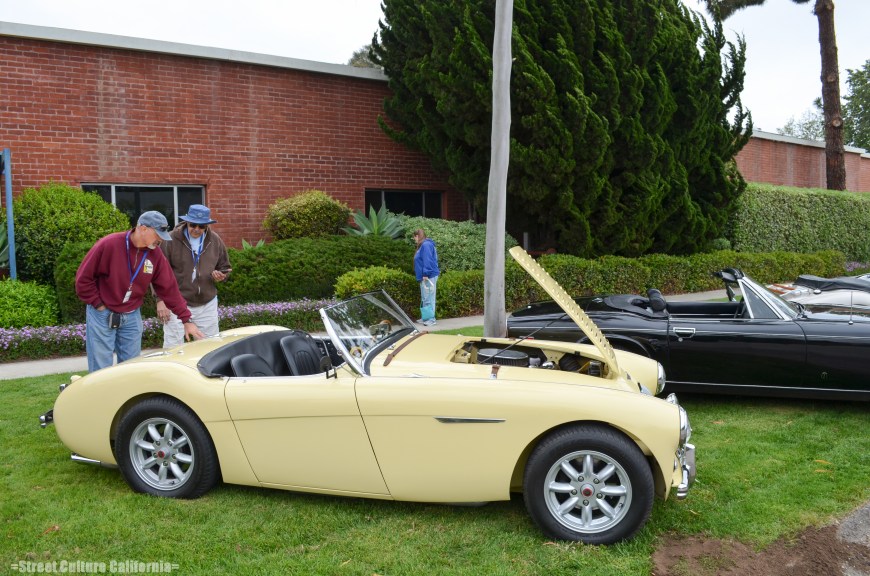 There were many Healey's that showed up, including a couple of V8 swapped examples like this one.